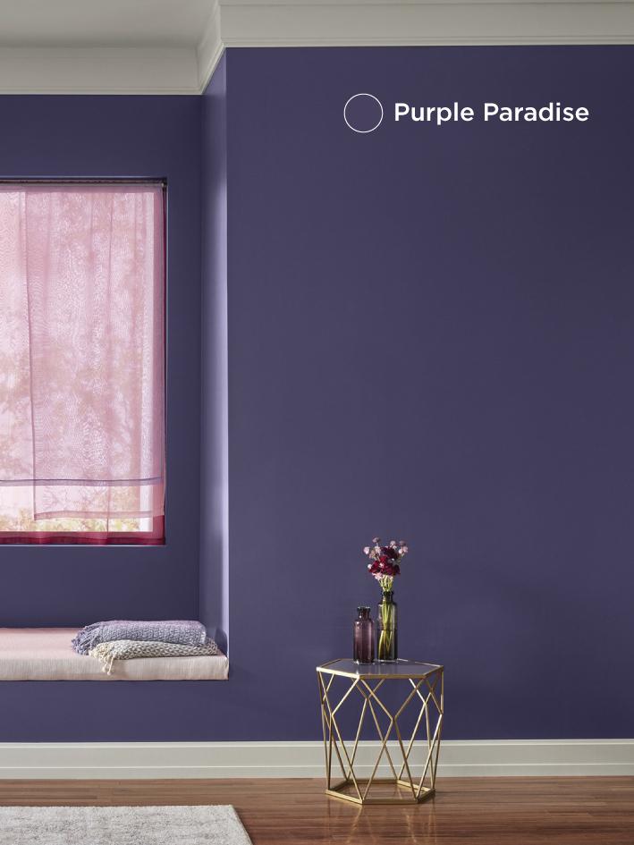 Lee más sobre el artículo Purple Paradise